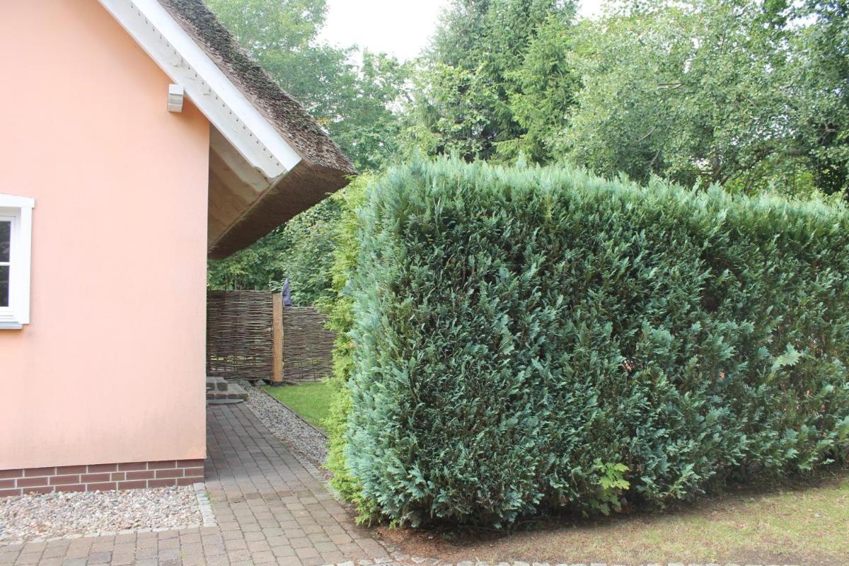 Ferienwohnung Lasse In Wieck Exterior photo